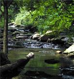 Craborchard Creek in Valle Crucis
